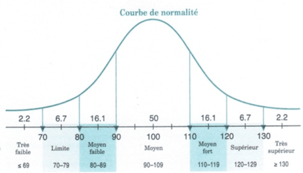 Qi Et Intelligences Multiples Learning Brain